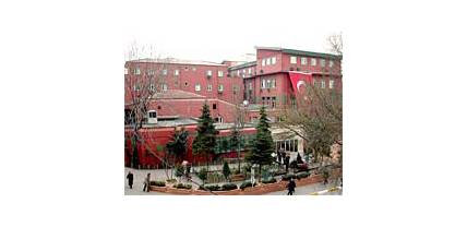 Istanbul University, Institute of Oncology, Surgical Oncology Unit Istanbul University, Institute of Oncology, Surgical Oncology Unit