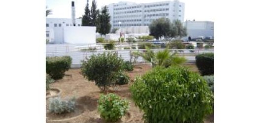 F. Hached University Teaching Hospital F. Hached University Teaching Hospital