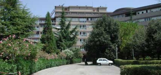 G. Bernabeo Hospital G. Bernabeo Hospital