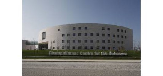 Champalimaud Foundation/Champalimaud Clinical Center Champalimaud Foundation/Champalimaud Clinical Center