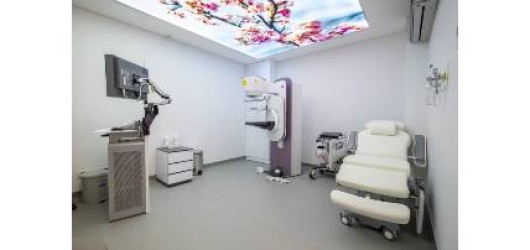 Bht Clinic Breast Centres Network Bcn Eso